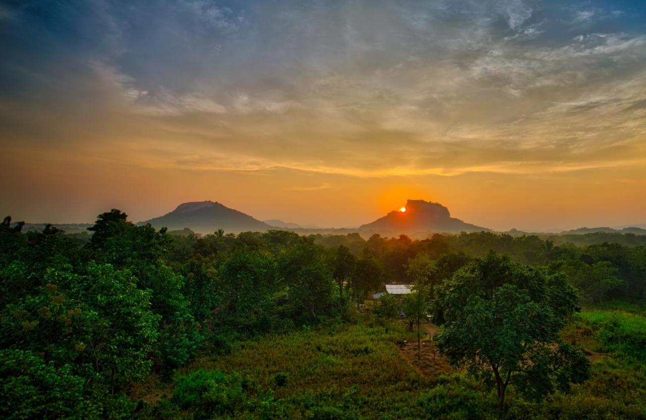 Choona Lodge 'View Of Sigiriya & Pidurangala With Sunrise' מראה חיצוני תמונה