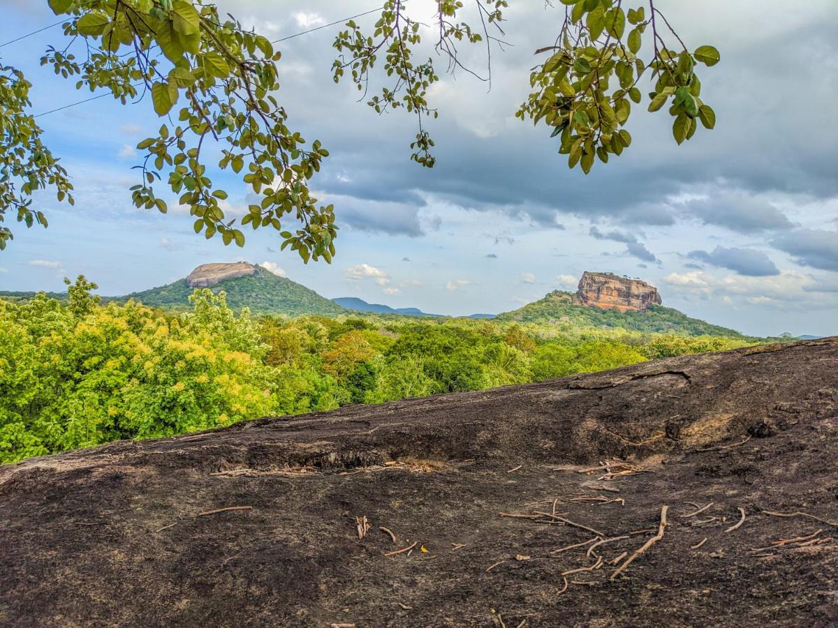 Choona Lodge 'View Of Sigiriya & Pidurangala With Sunrise' מראה חיצוני תמונה