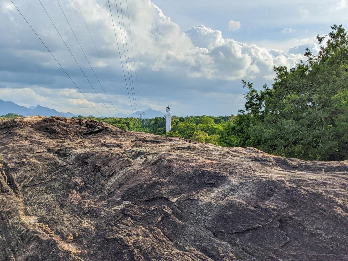 Choona Lodge 'View Of Sigiriya & Pidurangala With Sunrise' מראה חיצוני תמונה
